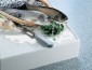 Global-Hardware-Dupont-Corian-FISH-processing